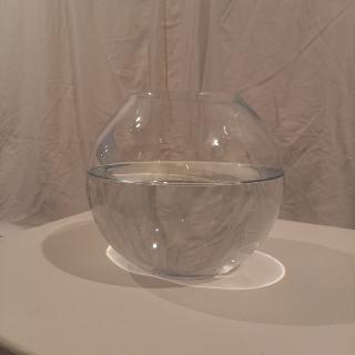  Bildname: 20220129_17435109.jpg