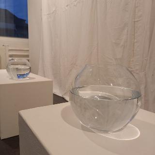  Bildname: 20220129_17435910.jpg