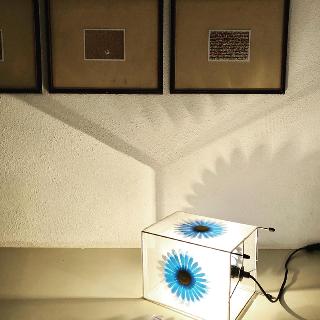  Bildname: FDC74E38-09C6-412B-9C46-0CD26DAF020C.jpg