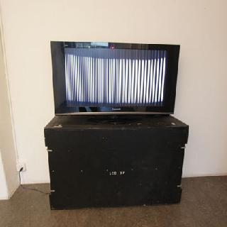  Bildname: IMG_718013.jpg