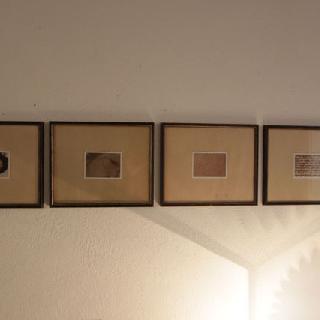  Bildname: IMG_718619.jpg