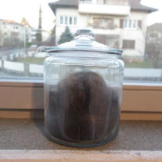  Bildname: IMG_719022.jpg