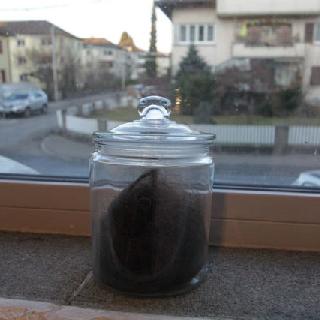  Bildname: IMG_719123.jpg