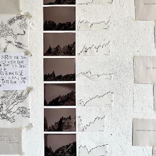  Bildname: IMG_842209.jpg