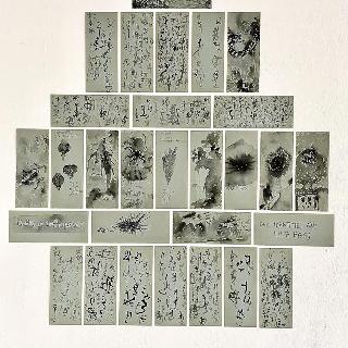  Bildname: IMG_842411.jpg