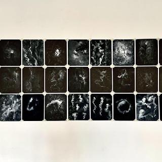  Bildname: IMG_842512.jpg