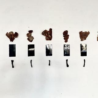  Bildname: IMG_842613.jpg