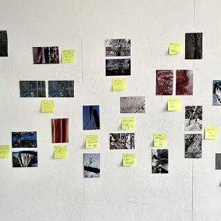  Bildname: IMG_842915.jpg