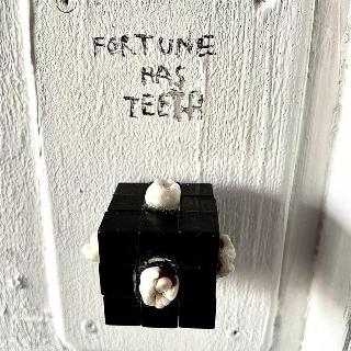  Bildname: IMG_843117.jpg