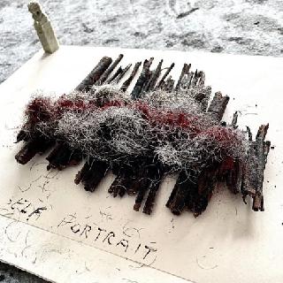  Bildname: IMG_846327.jpg