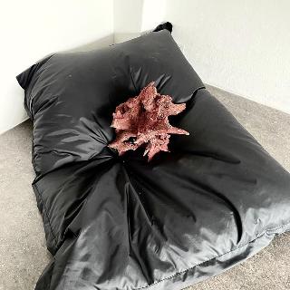  Bildname: IMG_846730.jpg