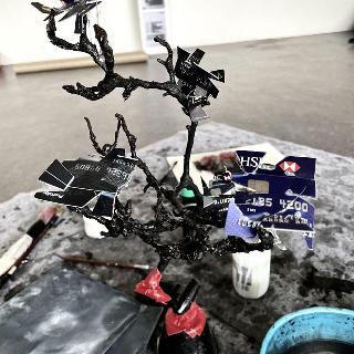  Bildname: IMG_847234.jpg