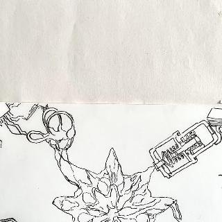  Bildname: IMG_848136.jpg