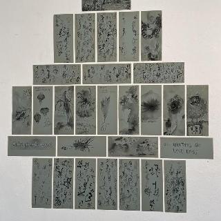  Bildname: IMG_865246.jpg