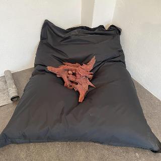  Bildname: IMG_865448.jpg