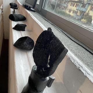  Bildname: IMG_866155.jpg