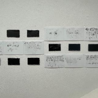  Bildname: IMG_866256.jpg