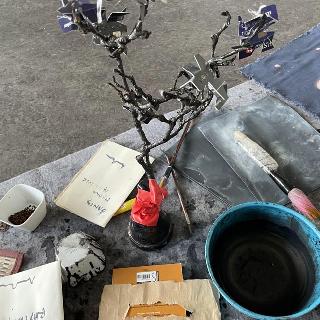  Bildname: IMG_870268.jpg