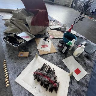  Bildname: IMG_871176.jpg