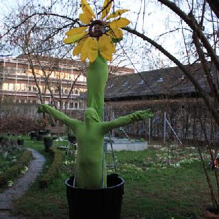  Bildname: IMG_2719.jpg