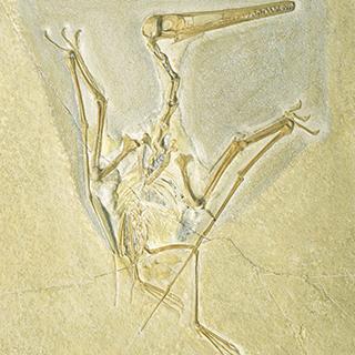  Bildname: Stone I.jpg