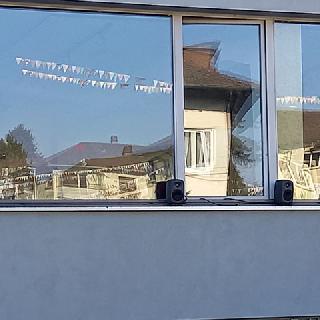  Bildname: 20210214_14005801.jpg