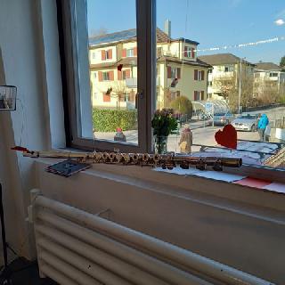  Bildname: 20210214_14494402.jpg