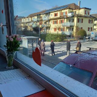  Bildname: 20210214_14495403.jpg