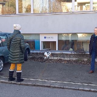  Bildname: 20210220_15152212.jpg