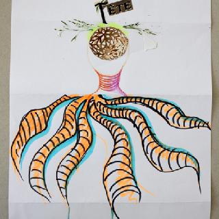  Bildname: IMG_4909.jpg