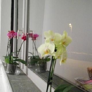  Bildname: IMG_20170117_004213.jpg