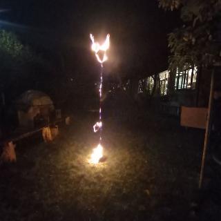  Bildname: 20221105_19415612.jpg