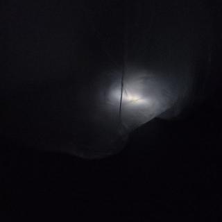  Bildname: 20221113_20574630.jpg