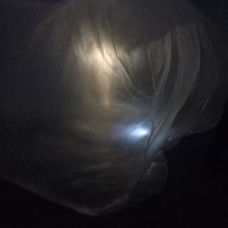  Bildname: 20221113_20575031.jpg