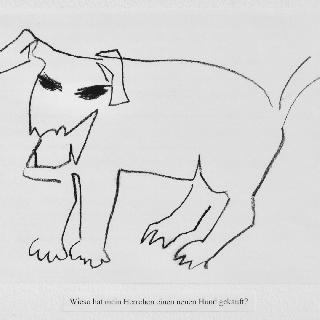  Bildname: 36. Neuer Hund.jpeg