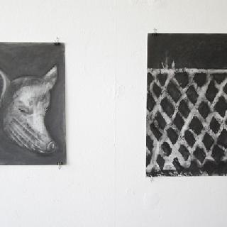  Bildname: IMG_5923.JPG