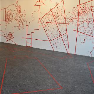  Bildname: Ableger1.jpg