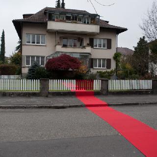  Bildname: Ableger16.jpg