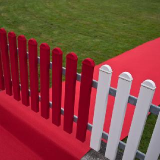  Bildname: Ableger17.jpg