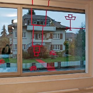  Bildname: Ableger4.jpg