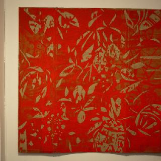  Bildname: Ableger7.jpg