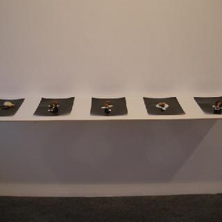  Bildname: DSCN2379.jpg