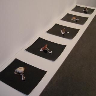  Bildname: DSCN2380.jpg