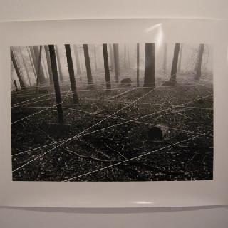  Bildname: DSCN2384.jpg