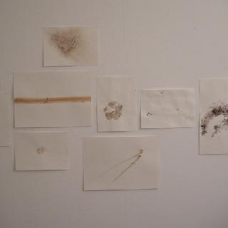  Bildname: DSCN2386.jpg