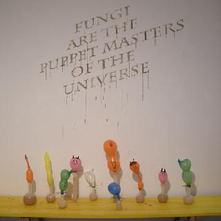  Bildname: DSCN2390.jpg