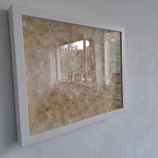  Bildname: 20251011_142213009.jpg