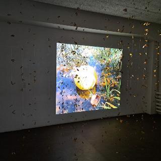  Bildname: 20251011_144308012.jpg