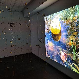  Bildname: 20251011_144335014.jpg