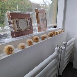  Bildname: 20251011_144445017.jpg